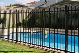 Attached Image: pool-fencing.jpg