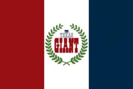 Attached Image: ne-flag-design.jpg