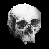 Attached Image: skulltest10.png