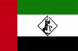 Attached Image: Parkmakistan Flag 12.jpg