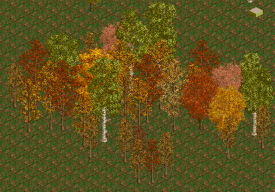 Attached Image: trees.png