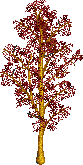 Object_11510_LMPTRE09