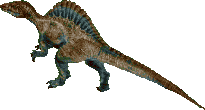 Object_10849 SPINO1X6