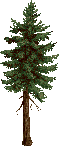 Object_10855_TN-TREE3