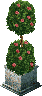 Object_9615_TOPIARY1