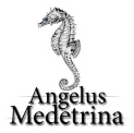 Park_1104_Angelus Medetrina