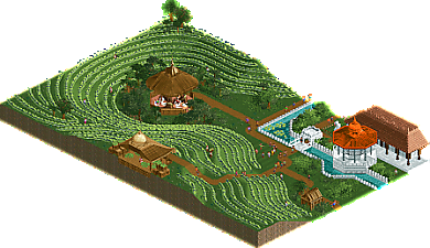 Park_6257 Kandy Tea Farm