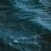 sea%s's Photo