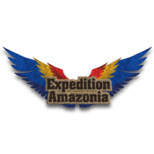 Project_968_Expedition: Amazonia