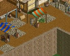 screen_431 Medieval Village