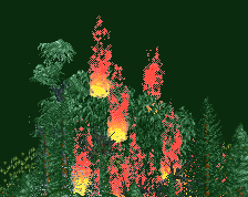 screen_7895 Wildfire